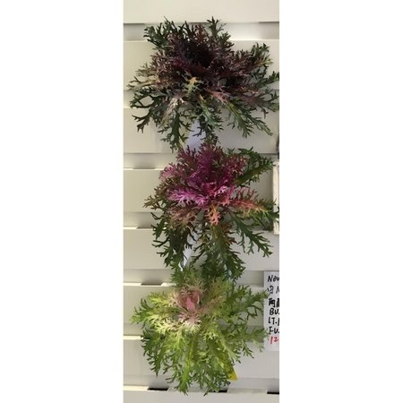 INTERNATIONAL 11 in. Thistle Plant Polyester & Plastic; Green Purple, 12PK 70448